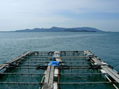 บรรยากาศชายหาดเกาะรังใหญ่ อ.เมือง จ.ภูเก็ต